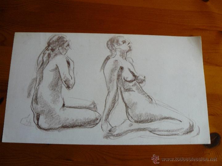 Dibujo Desnudo Femenino Carboncillo 85 Comprar Dibujos