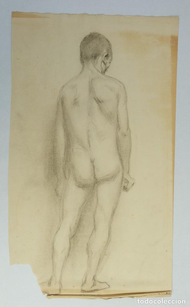 Dibujo Al Carboncillo Dorso Desnudo Masculino Y Comprar Dibujos