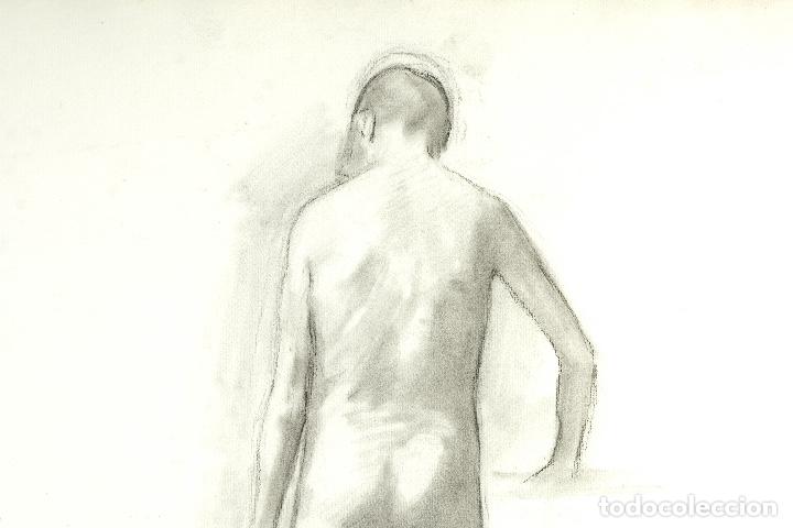 Dibujo Al Carboncillo Desnudo Dorso Masculino P Comprar Dibujos