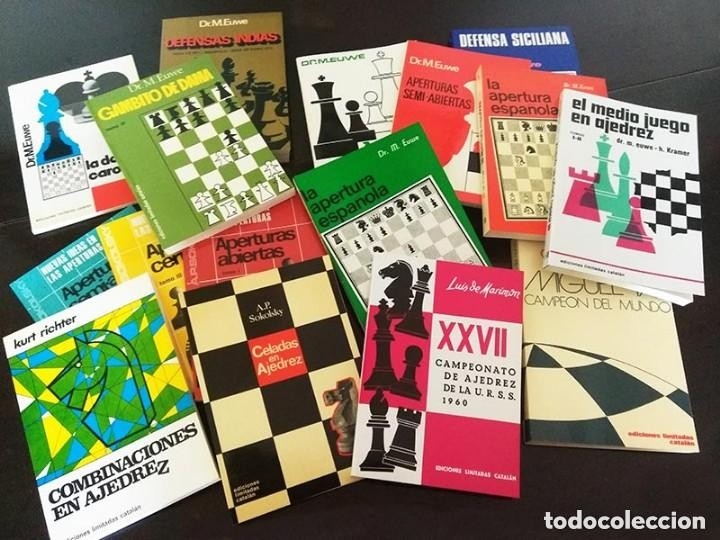 Lote Libros De Ajedrez Vendido En Subasta