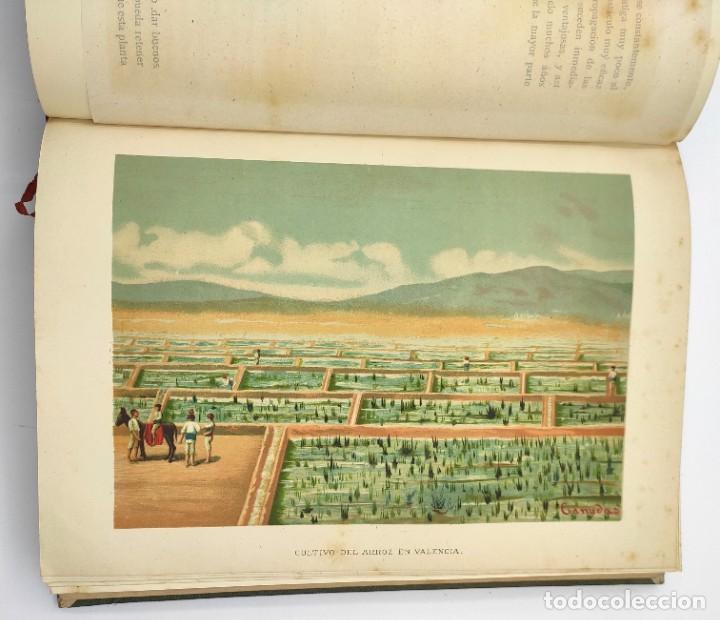 Historia General De La Agricultura Estudio Te Comprar Libros