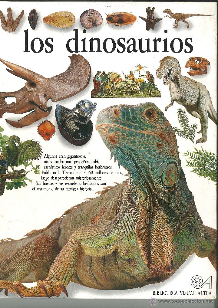 Resultado de imagen de dinosaurios biblioteca visual altea