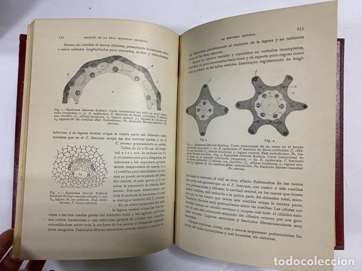 boletin de la real sociedad española de histori Comprar Libros de