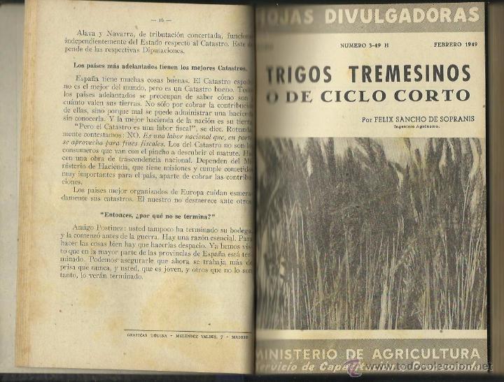 Libros de segunda mano: HOJAS DIVULGADORAS. MINISTERIO DE AGRICULTURA. SERVICIO DE CAPACITACIÓN Y PROPAGANDA. (1949-1950) - Foto 2 - 54849591