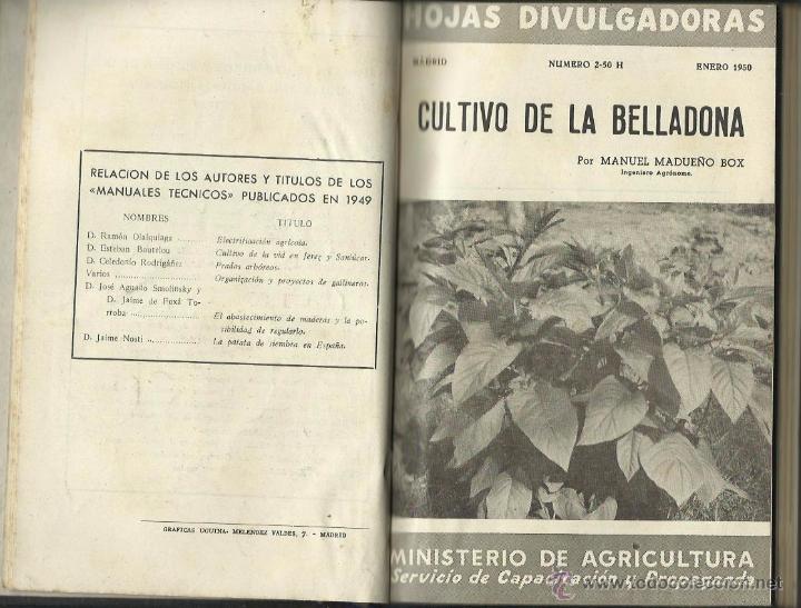 Libros de segunda mano: HOJAS DIVULGADORAS. MINISTERIO DE AGRICULTURA. SERVICIO DE CAPACITACIÓN Y PROPAGANDA. (1949-1950) - Foto 3 - 54849591