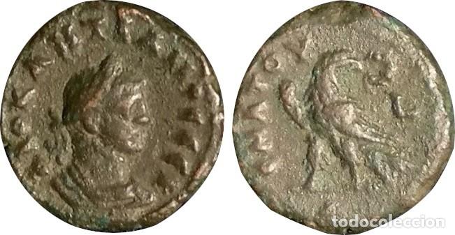 Imperio Romano Diocleciano Tetradracma Alejan Comprar Monedas Roma