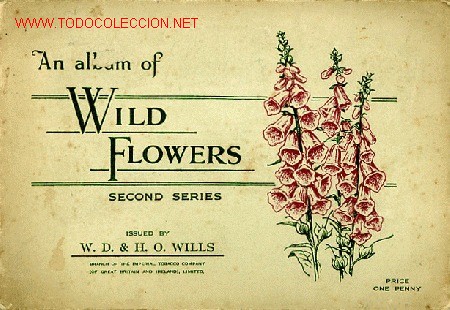 Collezionismo &Aacute;lbum: Album de Flores silvestres a&ntilde;os 1930. WILD FLOWERS SECOND SERIES