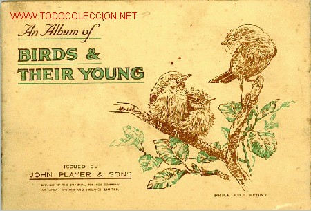 Collezionismo &Aacute;lbum: Pajaros y nidos. BIRDS AND THEIR YOUNG album ingles a&ntilde;os 30