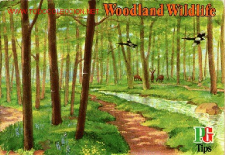 Collezionismo &Aacute;lbum: La vida salvaje en el bosque. WOODLAND WILDLIFE. Album ingles a&ntilde;os 70