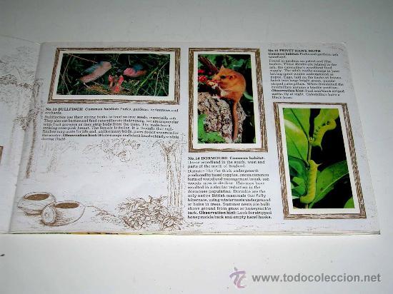 Collezionismo &Aacute;lbum: Album Fauna y flora 50 cromos completo, a&ntilde;os 80. En ingl&eacute;s. .