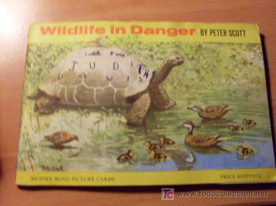Collezionismo &Aacute;lbum: VIDA ANIMAL EN PELIGRO ( WILDLIFE IN DANGER ) ALBUM COMPLETO 50 CROMOS (COIB49)