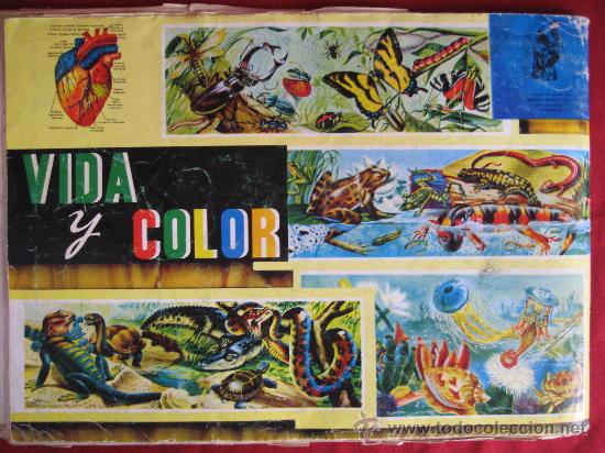 Coleccionismo &aacute;lbum: VIDA Y COLOR - Foto 11
