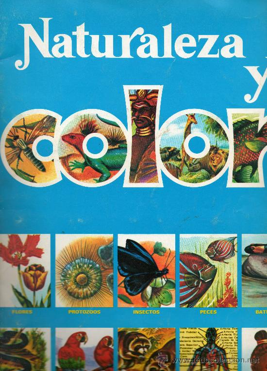 Collectable Albums: NATURALEZA Y COLOR    COMPLETO 380  CROMOS DE CAREN