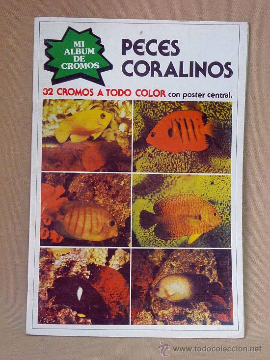 Collectable Albums: ALBUM, PECES CORALINOS, NUEVA SITUACION, 32 CROMOS, COMPLETO