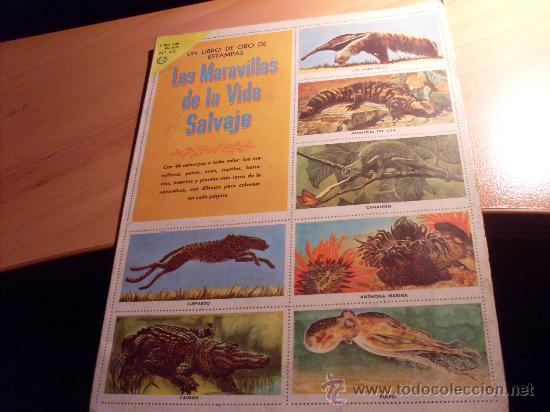 Collezionismo &Aacute;lbum: LIBRO DE ORO DE ESTAMPAS N&ordm; 40 LAS MARAVILLAS DE VIDA SALVAJE (NOVARO) ALBUM COMPLETO 1961 (COIB81)