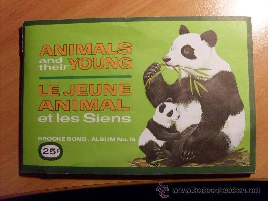 Collezionismo &Aacute;lbum: ALBUM COMPLETO ANIMALES Y CACHORROS ( ANIMALS AND THEIR YOUNG ) ( EN INGLES ) (COIB49)