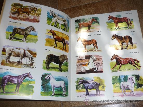 Coleccionismo &aacute;lbum: ALBUM CABALLOS EDICIONES DIFUSORA COMPLETO - Foto 2