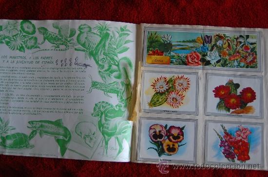 Coleccionismo &aacute;lbum: VIDA Y COLOR - Foto 2