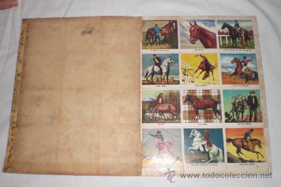 Coleccionismo &aacute;lbum: LIBRO DE ORO DE ESTAMPAS CABALLOS 1962 - Foto 3