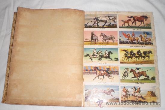 Coleccionismo &aacute;lbum: LIBRO DE ORO DE ESTAMPAS CABALLOS 1962 - Foto 5
