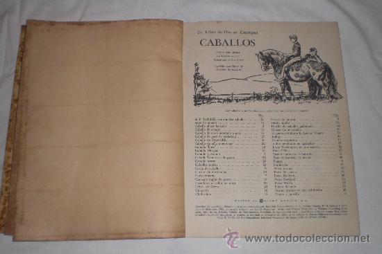 Coleccionismo &aacute;lbum: LIBRO DE ORO DE ESTAMPAS CABALLOS 1962 - Foto 6