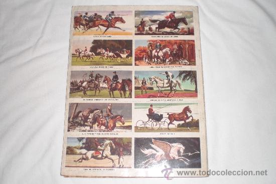 Coleccionismo &aacute;lbum: LIBRO DE ORO DE ESTAMPAS CABALLOS 1962 - Foto 7