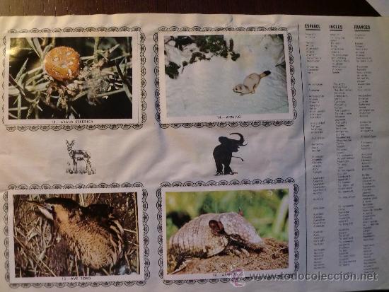 Coleccionismo &aacute;lbum: ANIMALES. COMPLETO - Foto 2