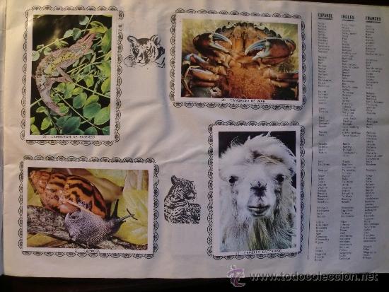 Coleccionismo &aacute;lbum: ANIMALES. COMPLETO - Foto 4