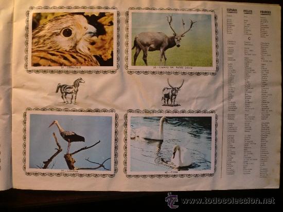 Coleccionismo &aacute;lbum: ANIMALES. COMPLETO - Foto 5