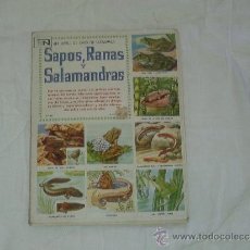 Coleccionismo Álbum: SAPOS , RANAS Y SALAMANDRAS UN LIBRO DE ORO DE ESTAMPAS
