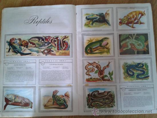 Coleccionismo &aacute;lbum: NATURALEZA Y COLOR - Foto 2