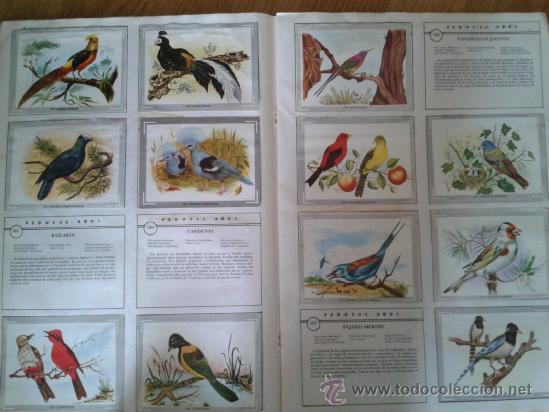 Coleccionismo &aacute;lbum: NATURALEZA Y COLOR - Foto 3