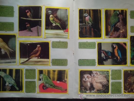 Coleccionismo &aacute;lbum: zoo loco. completo - Foto 3