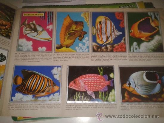 Coleccionismo &aacute;lbum: ZOOLOGIA Y BOTANICA (MAGA) - Foto 3