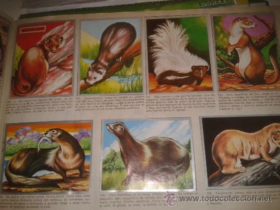 Coleccionismo &aacute;lbum: ZOOLOGIA Y BOTANICA (MAGA) - Foto 4