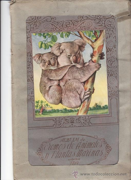Collectable Albums: ANIMALES Y PLANTAS MARINAS