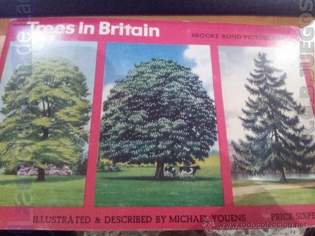 Collectionnisme Album: ALBUM COMPLETO DE CROMOS DE TABACO ARBOLES INGLESES