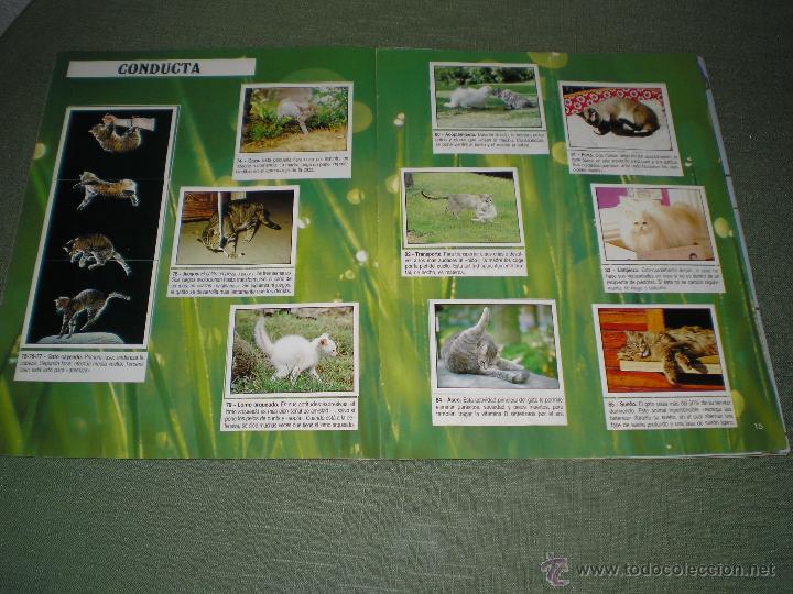 Coleccionismo &aacute;lbum: MIS ANIMALES PREFERIDOS - Foto 2