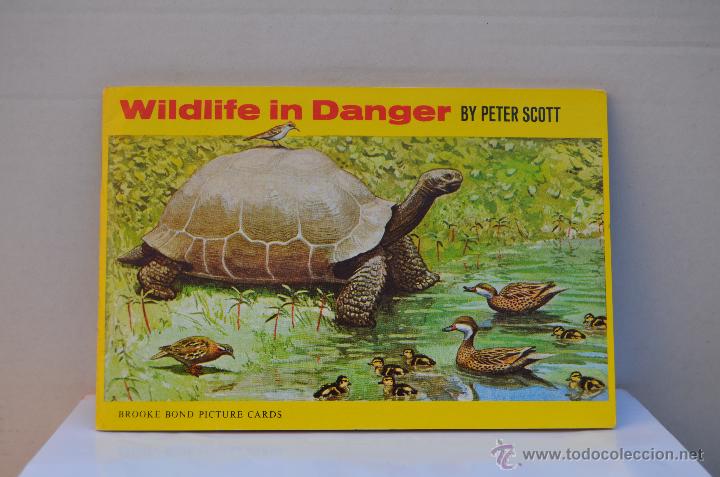 Collezionismo &Aacute;lbum: ALBUM DE CROMOS INGLES ( WILDLIFE IN DANGER ) COMPLETO