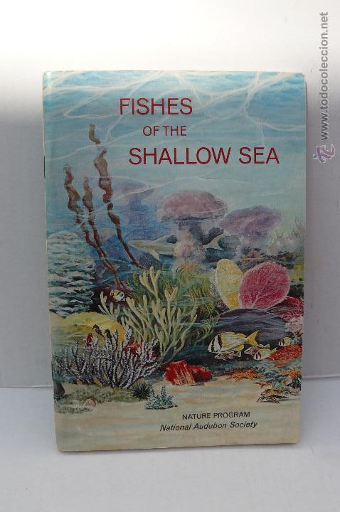 Collezionismo &Aacute;lbum: PROGRAMA DE LA NATIONAL AUDUBON SOCIETY(ESTADOS UNIDOS)