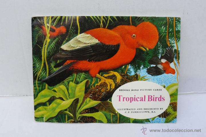 Collezionismo &Aacute;lbum: ALBUM DE CROMOS INGLES ( TROPICAL BIRDS ) COMPLETO