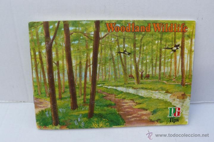 Collezionismo &Aacute;lbum: ALBUM DE CROMOS INGLES ( WOODLAND WILDLIFE ) COMPLETO