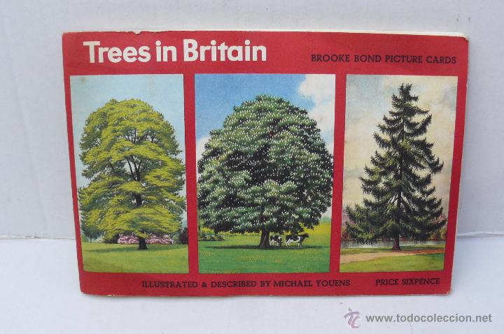 Collezionismo &Aacute;lbum: ALBUM DE CROMOS INGLES ( TRESS IN BRITAIN ) COMPLETO