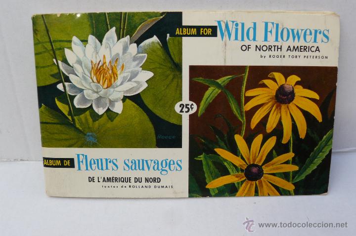 Collezionismo &Aacute;lbum: ALBUM DE CROMOS INGLES ( FLEURS SAUVAGES ) COMPLETO