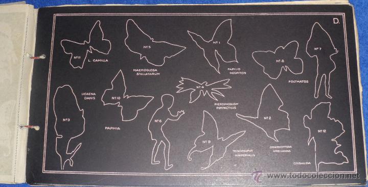Coleccionismo &aacute;lbum: Historia Natural - Ediciones Yo &iexcl;Completo! - Foto 7
