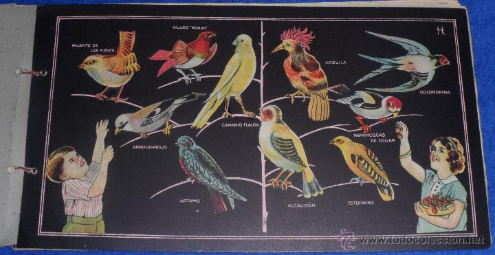 Coleccionismo &aacute;lbum: Historia Natural - Ediciones Yo &iexcl;Completo! - Foto 14