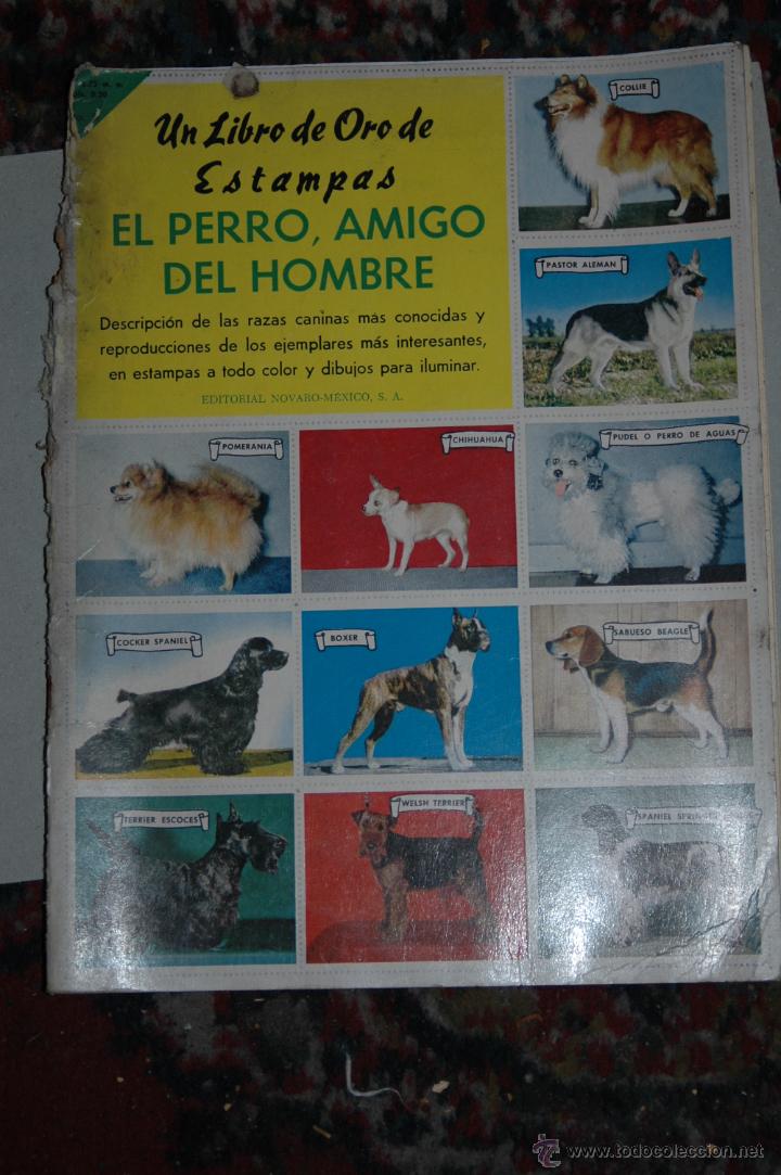 Sammeln Sammelalbum: ALBUM  UN LIBRO DE ORO DE ESTAMPAS EDICION NOVARO CROMOS SIN APEGAR COMPLETO