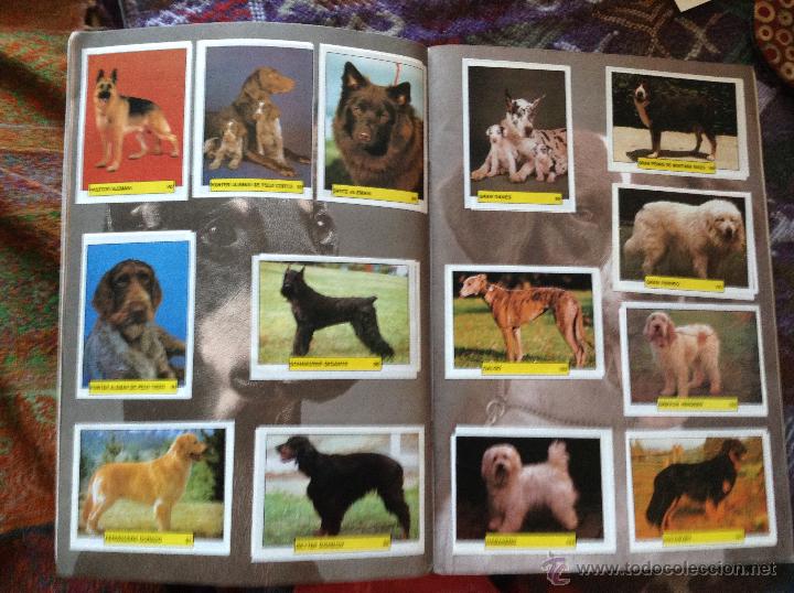 Coleccionismo &aacute;lbum: Los perros. Tus amigos - Foto 2