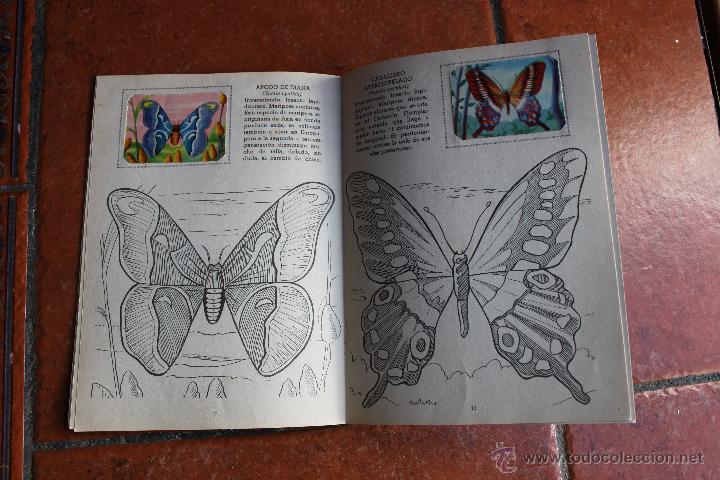 Coleccionismo &aacute;lbum: COLECCION CROMOFHER : MARIPOSAS ; LIBRO N&ordm; 110 - Foto 3