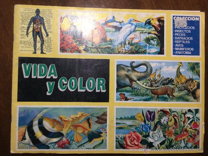 Collectionnisme Album: VIDA Y COLOR EDICION DE COMIC ROMO DE 1992